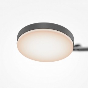 Светильник на штанге Maytoni Fad MOD070CL-L15B3K1 в Урае - uray.ok-mebel.com | фото 7