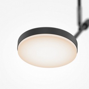 Светильник на штанге Maytoni Fad MOD070CL-L8B3K в Урае - uray.ok-mebel.com | фото 4