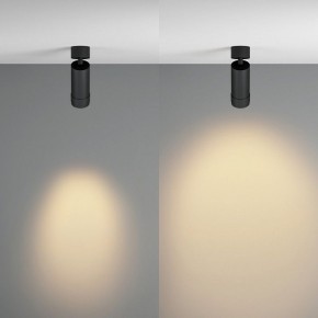Светильник на штанге Maytoni Focus Zoom C055CL-L12W2.7K-Z-B в Урае - uray.ok-mebel.com | фото 3