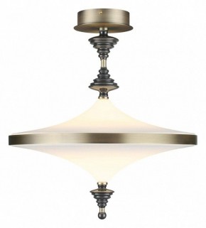 Светильник на штанге Odeon Light Ula 5404/43CL в Урае - uray.ok-mebel.com | фото 2