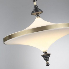 Светильник на штанге Odeon Light Ula 5404/43CL в Урае - uray.ok-mebel.com | фото 6