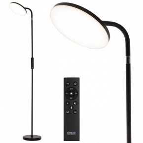 Торшер Citilux SOLO CL804061 в Урае - uray.ok-mebel.com | фото 2