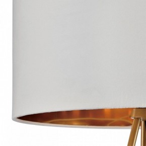 Торшер Lumion Tapioka 8077/1F в Урае - uray.ok-mebel.com | фото 6