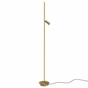 Торшер Maytoni Thin MOD395FL-L28BS3K в Урае - uray.ok-mebel.com | фото