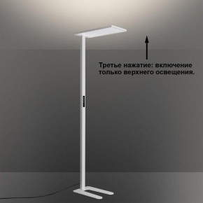 Торшер Novotech STUDI 359545 в Урае - uray.ok-mebel.com | фото 6