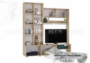 ФЛАЙ Центральная секция ЦС-01 (дуб сонома/белый) в Урае - uray.ok-mebel.com | фото 4