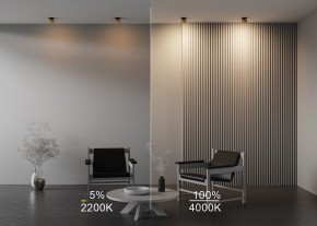 Встраиваемый светильник Maytoni Onda DL024-12W-DTW-BMG в Урае - uray.ok-mebel.com | фото 9